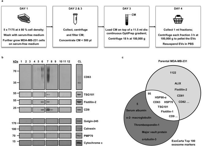https://cdn.ncbi.nlm.nih.gov/pmc/blobs/62ac/6199335/b7e261f48f36/41598_2018_33868_Fig1_HTML.jpg