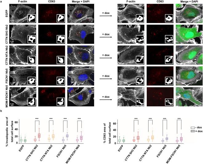https://cdn.ncbi.nlm.nih.gov/pmc/blobs/62ac/6199335/cf082e075768/41598_2018_33868_Fig5_HTML.jpg
