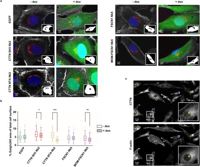 https://cdn.ncbi.nlm.nih.gov/pmc/blobs/62ac/6199335/d70b440667a3/41598_2018_33868_Fig3_HTML.jpg