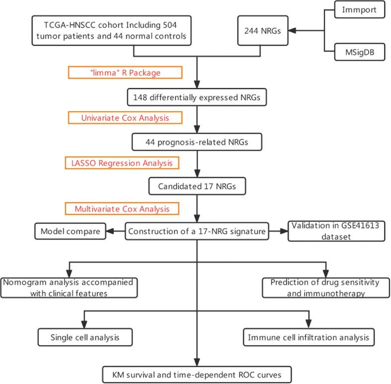 https://cdn.ncbi.nlm.nih.gov/pmc/blobs/62ac/9575041/3fbd7c4c2f2d/fimmu-13-1018685-g001.jpg