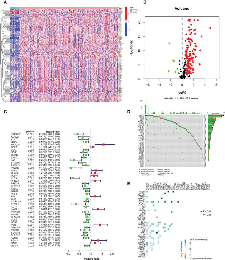 https://cdn.ncbi.nlm.nih.gov/pmc/blobs/62ac/9575041/a2523c4ccdcd/fimmu-13-1018685-g002.jpg