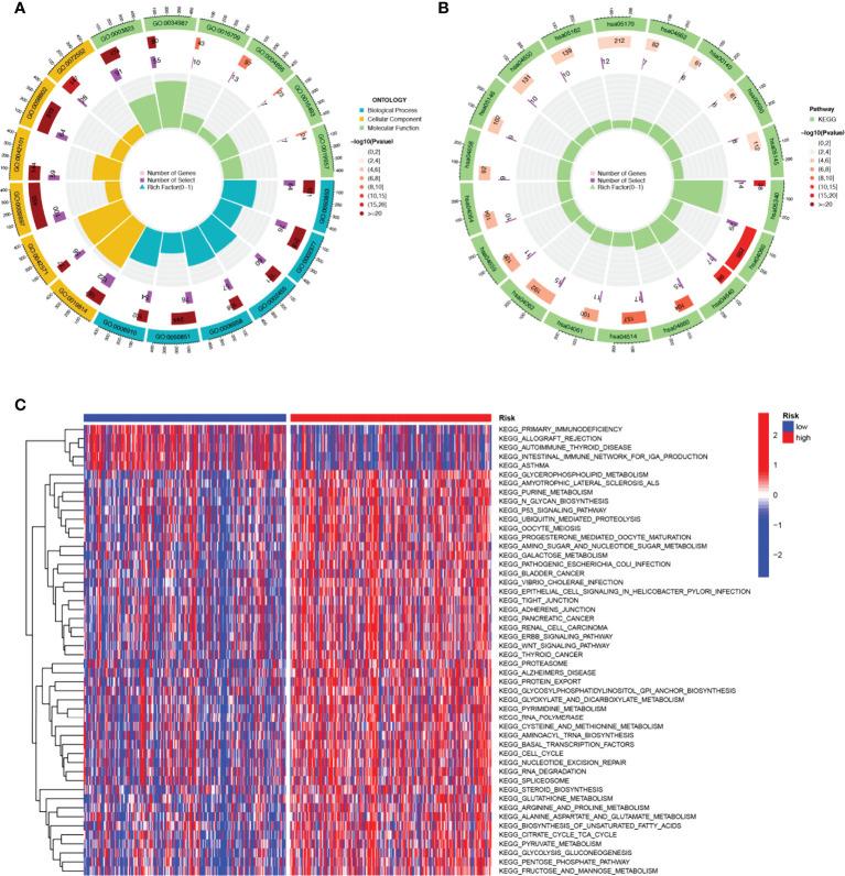 https://cdn.ncbi.nlm.nih.gov/pmc/blobs/62ac/9575041/defc202d10d6/fimmu-13-1018685-g006.jpg