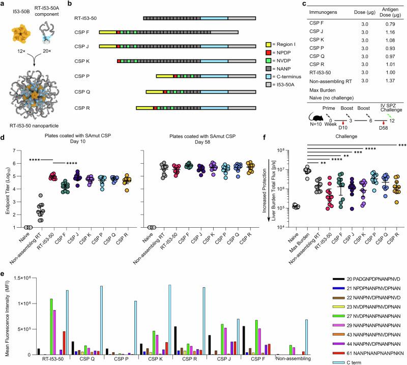 https://cdn.ncbi.nlm.nih.gov/pmc/blobs/62ae/12053698/dc5e1c9fd700/41541_2025_1140_Fig2_HTML.jpg