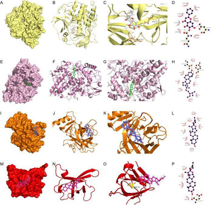https://cdn.ncbi.nlm.nih.gov/pmc/blobs/62ae/12096195/152165f6476b/ao5c00981_0015.jpg