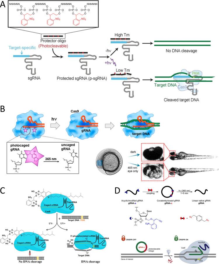 https://cdn.ncbi.nlm.nih.gov/pmc/blobs/62ae/12308383/1c37e1ad7110/au5c00524_0010.jpg