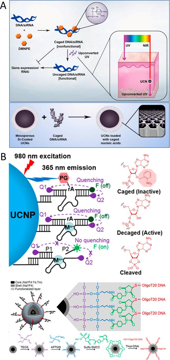 https://cdn.ncbi.nlm.nih.gov/pmc/blobs/62ae/12308383/9115917b435f/au5c00524_0008.jpg
