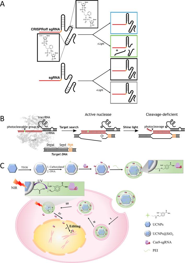 https://cdn.ncbi.nlm.nih.gov/pmc/blobs/62ae/12308383/f5a9d57b958a/au5c00524_0011.jpg
