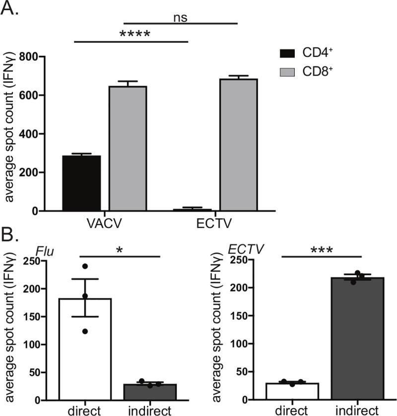 https://cdn.ncbi.nlm.nih.gov/pmc/blobs/62ae/7425992/b1d6516bf227/ppat.1008685.g001.jpg