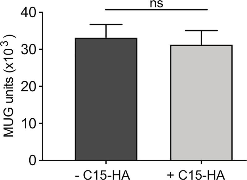 https://cdn.ncbi.nlm.nih.gov/pmc/blobs/62ae/7425992/d4866dd700f4/ppat.1008685.g005.jpg