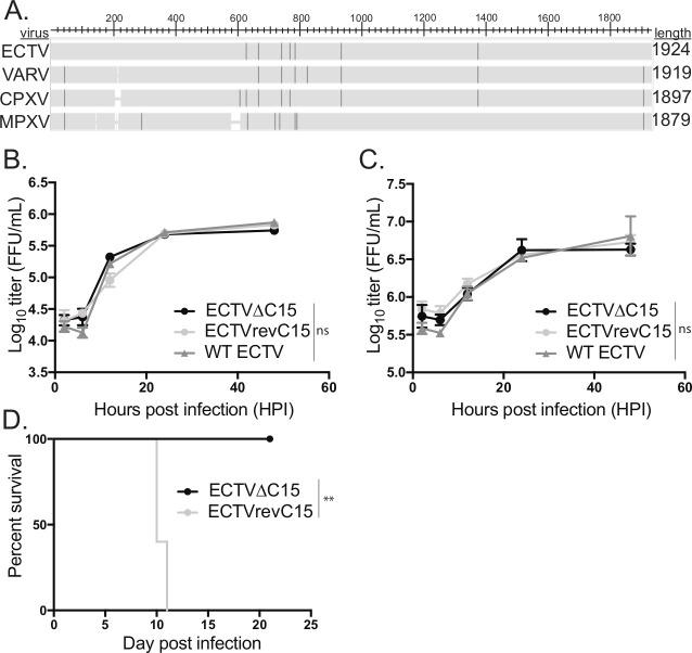 https://cdn.ncbi.nlm.nih.gov/pmc/blobs/62ae/7425992/df8a4864f800/ppat.1008685.g002.jpg