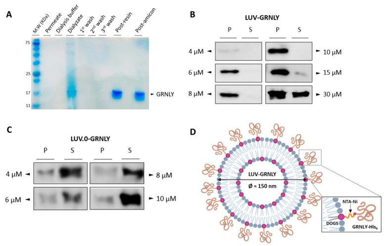 https://cdn.ncbi.nlm.nih.gov/pmc/blobs/62b0/9369117/9f25d7aba1cf/ijms-23-08705-g001.jpg