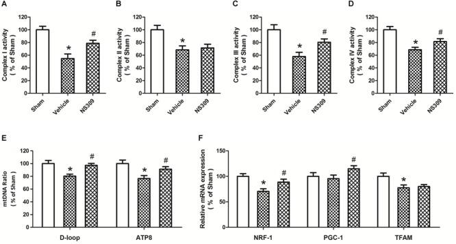 https://cdn.ncbi.nlm.nih.gov/pmc/blobs/62b1/6454010/7b3329ca496a/fphar-10-00325-g007.jpg