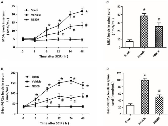 https://cdn.ncbi.nlm.nih.gov/pmc/blobs/62b1/6454010/9887e50d2205/fphar-10-00325-g004.jpg