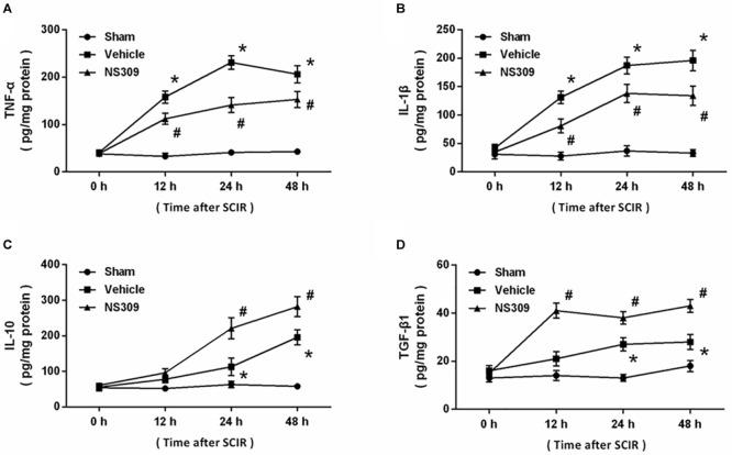 https://cdn.ncbi.nlm.nih.gov/pmc/blobs/62b1/6454010/a827849903e2/fphar-10-00325-g006.jpg