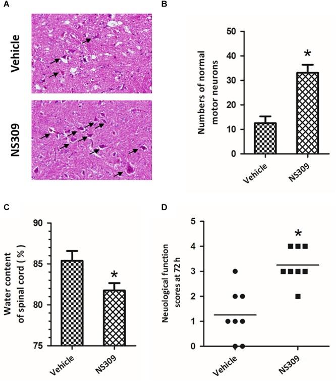 https://cdn.ncbi.nlm.nih.gov/pmc/blobs/62b1/6454010/b3fc54d7c648/fphar-10-00325-g002.jpg