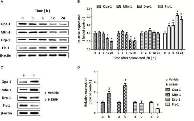 https://cdn.ncbi.nlm.nih.gov/pmc/blobs/62b1/6454010/ca6bc732af4d/fphar-10-00325-g008.jpg