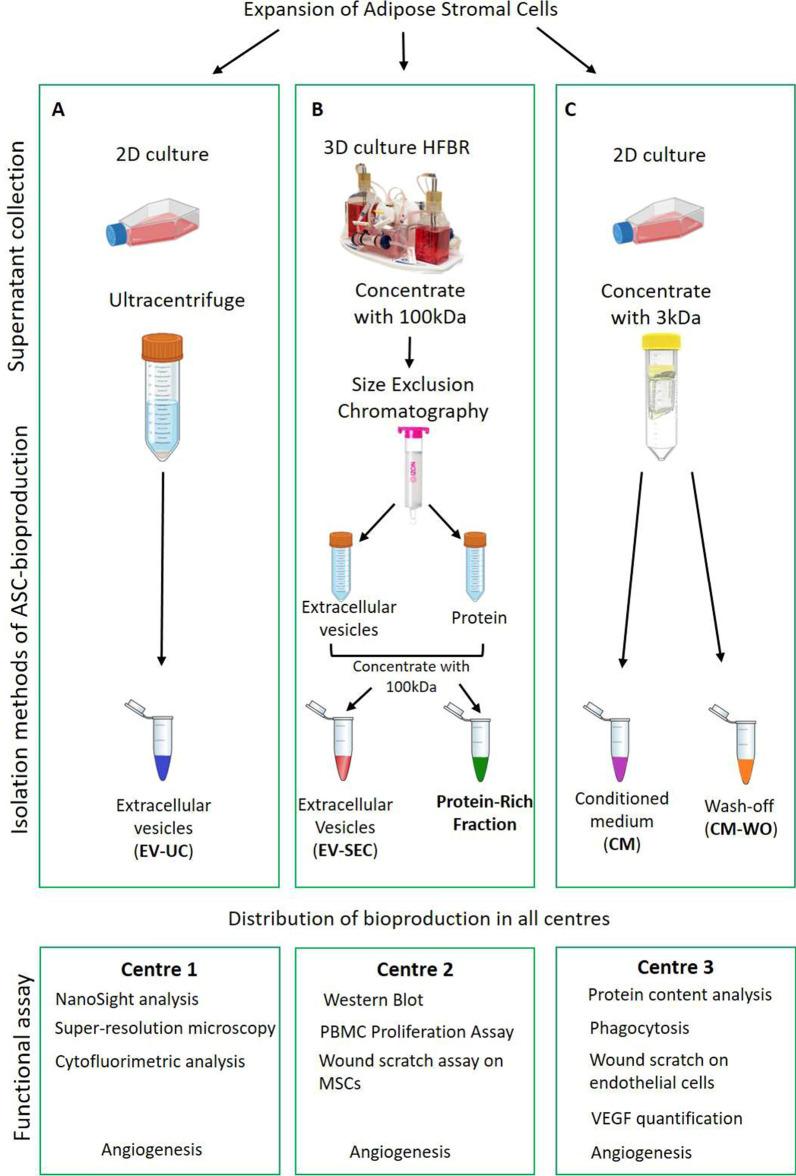 https://cdn.ncbi.nlm.nih.gov/pmc/blobs/62b2/10577984/570ec2ba3b43/12967_2023_4602_Fig1_HTML.jpg