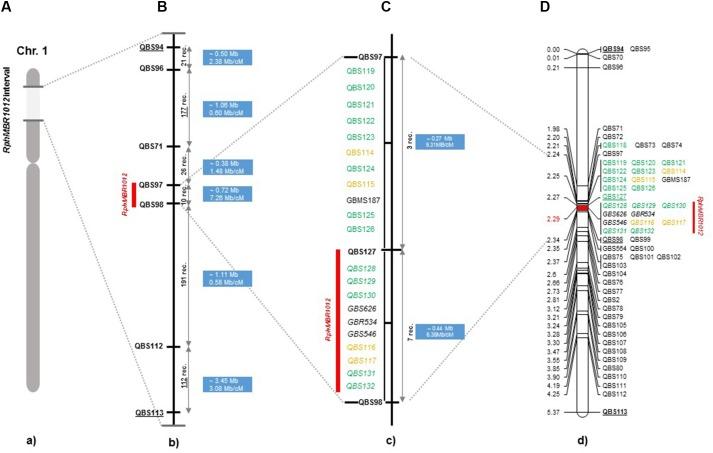 https://cdn.ncbi.nlm.nih.gov/pmc/blobs/62b4/6541035/eb720a1a8060/fpls-10-00640-g002.jpg