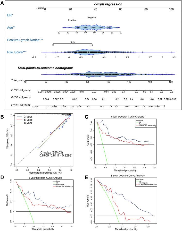 https://cdn.ncbi.nlm.nih.gov/pmc/blobs/62b4/8350480/bd979d70b01a/fmolb-08-675198-g004.jpg