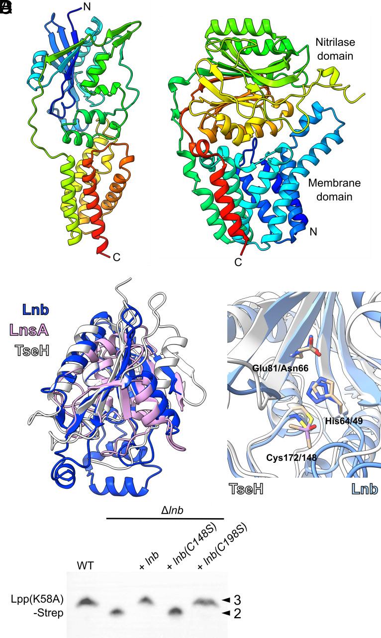 https://cdn.ncbi.nlm.nih.gov/pmc/blobs/62b6/11573676/b68fad198b26/pnas.2410909121fig03.jpg