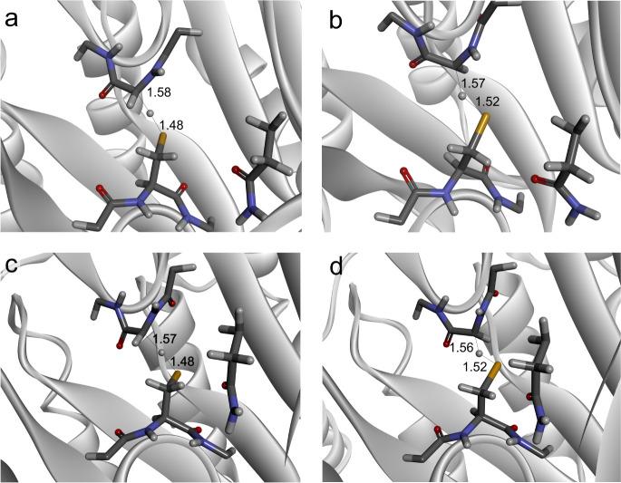 https://cdn.ncbi.nlm.nih.gov/pmc/blobs/62b7/11194802/62894c38ca04/jp4c01237_0004.jpg