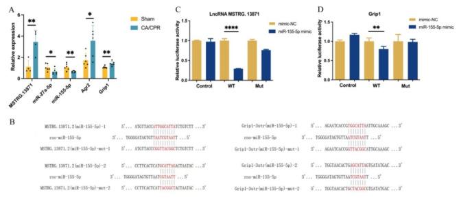 https://cdn.ncbi.nlm.nih.gov/pmc/blobs/62b7/11499652/81b1c0470e80/41598_2024_75875_Fig4_HTML.jpg