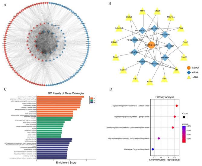 https://cdn.ncbi.nlm.nih.gov/pmc/blobs/62b7/11499652/a394f3973758/41598_2024_75875_Fig3_HTML.jpg