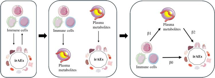 https://cdn.ncbi.nlm.nih.gov/pmc/blobs/62b8/12214199/326e8d9a26a4/12672_2025_2607_Fig1_HTML.jpg
