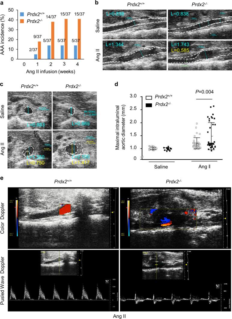 https://cdn.ncbi.nlm.nih.gov/pmc/blobs/62b8/8080566/03fdc748f567/12276_2020_498_Fig2_HTML.jpg