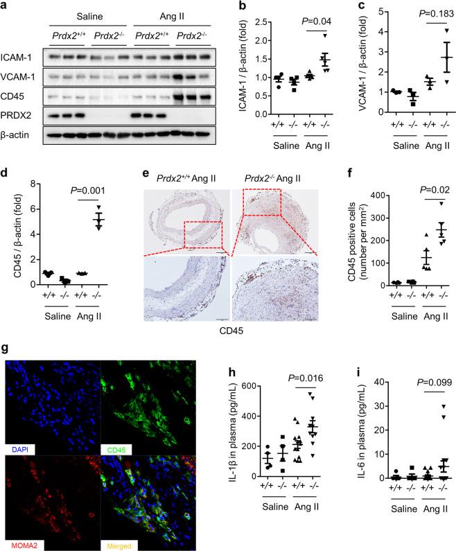 https://cdn.ncbi.nlm.nih.gov/pmc/blobs/62b8/8080566/1f0463bac8f6/12276_2020_498_Fig6_HTML.jpg