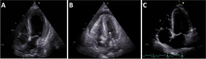 https://cdn.ncbi.nlm.nih.gov/pmc/blobs/62bb/9743770/2a8738d53a5d/12871_2022_1890_Fig2_HTML.jpg