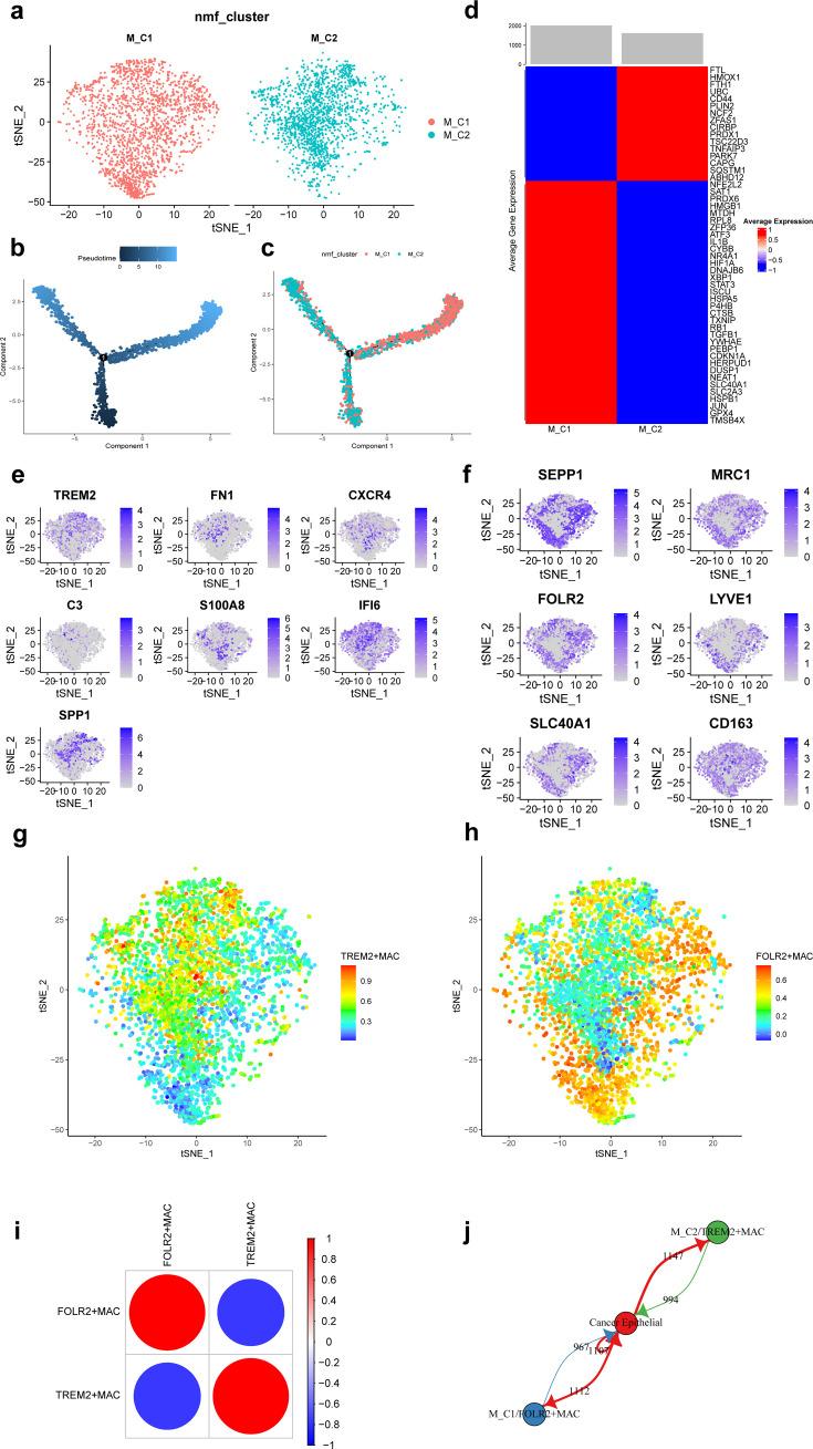 https://cdn.ncbi.nlm.nih.gov/pmc/blobs/62bf/12129453/159ea813545a/elife-100923-fig3.jpg
