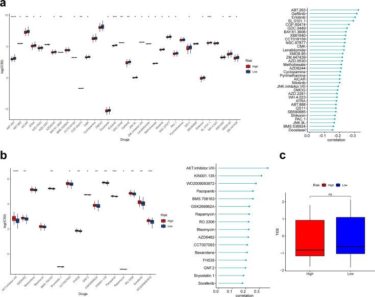 https://cdn.ncbi.nlm.nih.gov/pmc/blobs/62bf/12129453/7df44def1c95/elife-100923-fig7.jpg