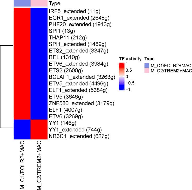 https://cdn.ncbi.nlm.nih.gov/pmc/blobs/62bf/12129453/96c3ca370437/elife-100923-fig3-figsupp1.jpg