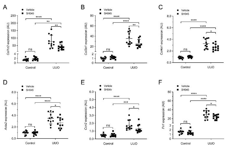 https://cdn.ncbi.nlm.nih.gov/pmc/blobs/62bf/9224794/1e1a6c9a6fdd/ijms-23-06870-g005.jpg