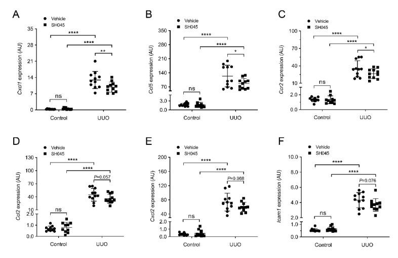 https://cdn.ncbi.nlm.nih.gov/pmc/blobs/62bf/9224794/7e48eb34be6e/ijms-23-06870-g003.jpg