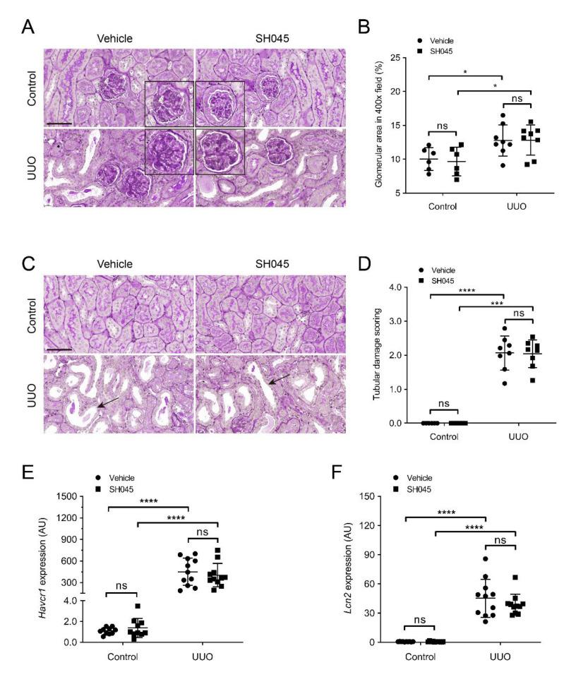 https://cdn.ncbi.nlm.nih.gov/pmc/blobs/62bf/9224794/aa55437bfcb1/ijms-23-06870-g002.jpg