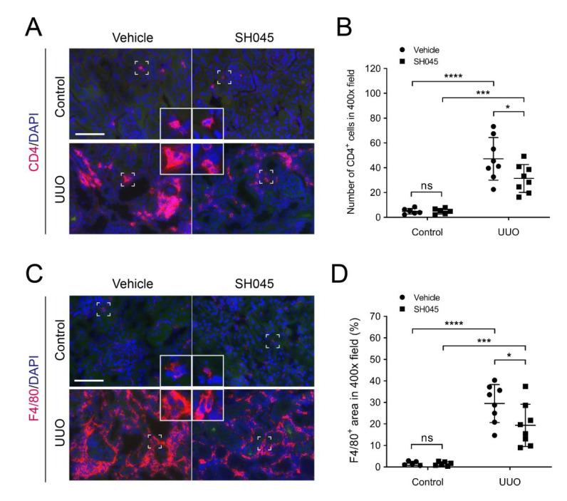https://cdn.ncbi.nlm.nih.gov/pmc/blobs/62bf/9224794/b8d7a86b1dac/ijms-23-06870-g004.jpg