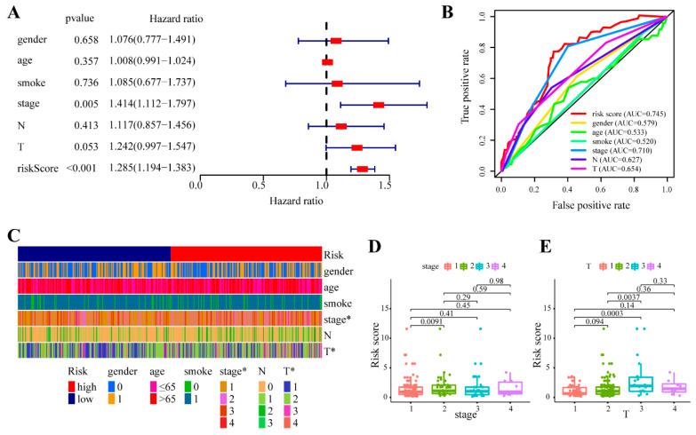 https://cdn.ncbi.nlm.nih.gov/pmc/blobs/62bf/9600995/2263322ab542/cancers-14-05106-g004.jpg