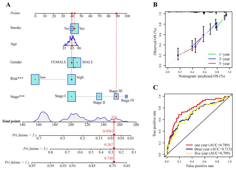 https://cdn.ncbi.nlm.nih.gov/pmc/blobs/62bf/9600995/e2ca7b0a9e7c/cancers-14-05106-g005.jpg