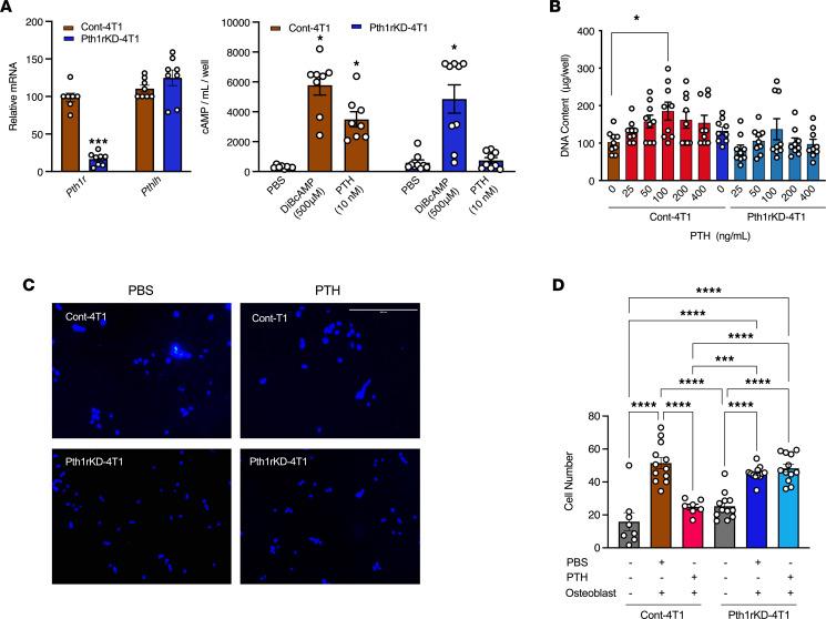 https://cdn.ncbi.nlm.nih.gov/pmc/blobs/62c3/10077472/37a3cedec828/jciinsight-8-157390-g169.jpg