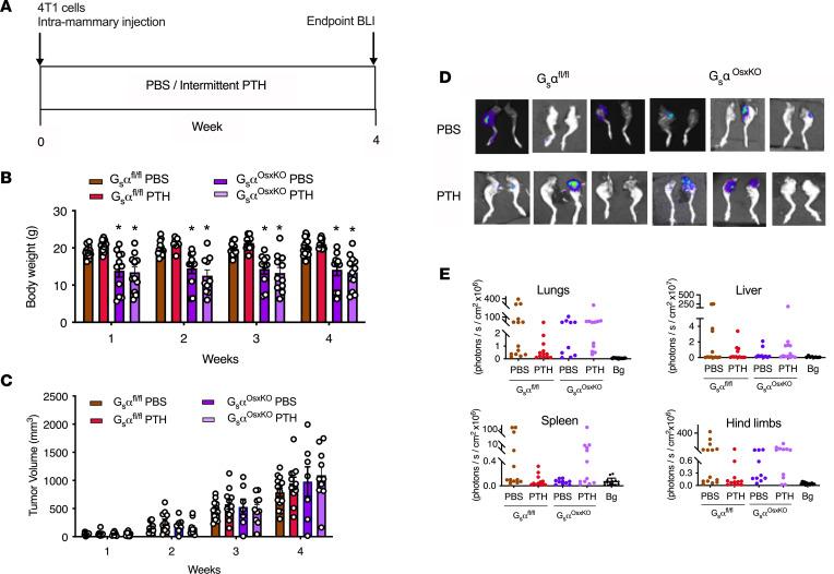 https://cdn.ncbi.nlm.nih.gov/pmc/blobs/62c3/10077472/4bc77b750617/jciinsight-8-157390-g167.jpg