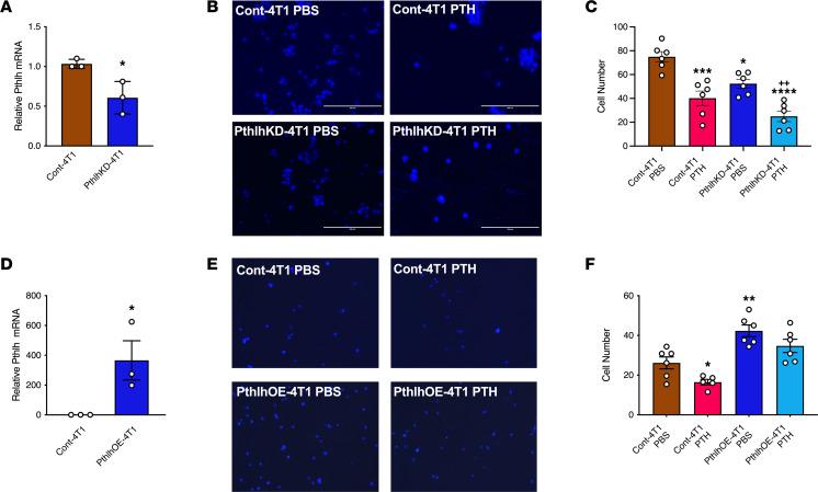 https://cdn.ncbi.nlm.nih.gov/pmc/blobs/62c3/10077472/950cdbc4b875/jciinsight-8-157390-g172.jpg