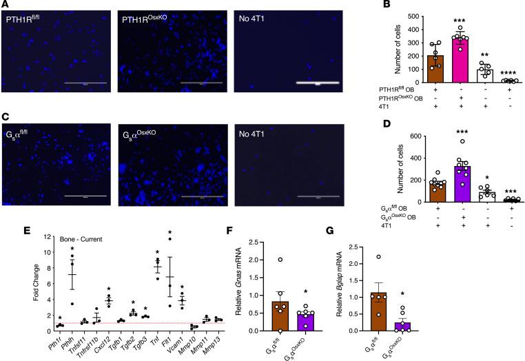 https://cdn.ncbi.nlm.nih.gov/pmc/blobs/62c3/10077472/c614b12c8c42/jciinsight-8-157390-g166.jpg