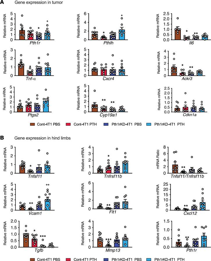 https://cdn.ncbi.nlm.nih.gov/pmc/blobs/62c3/10077472/dc9950d76711/jciinsight-8-157390-g171.jpg