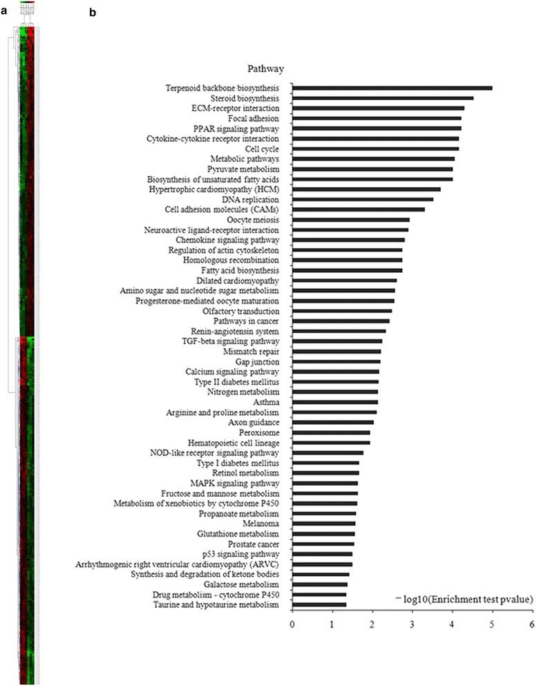 https://cdn.ncbi.nlm.nih.gov/pmc/blobs/62c3/4683959/26cb861765ac/13020_2015_66_Fig2_HTML.jpg