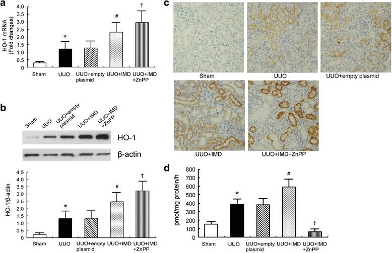 https://cdn.ncbi.nlm.nih.gov/pmc/blobs/62c3/5505135/d03036974ea9/12882_2017_659_Fig2_HTML.jpg