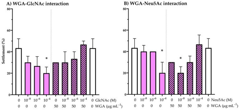 https://cdn.ncbi.nlm.nih.gov/pmc/blobs/62c4/8004857/fd6f70b00d36/ijms-22-03273-g004.jpg