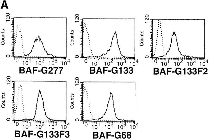 https://cdn.ncbi.nlm.nih.gov/pmc/blobs/62c5/1887683/3719c5c52f46/JEM981465.f2a.jpg