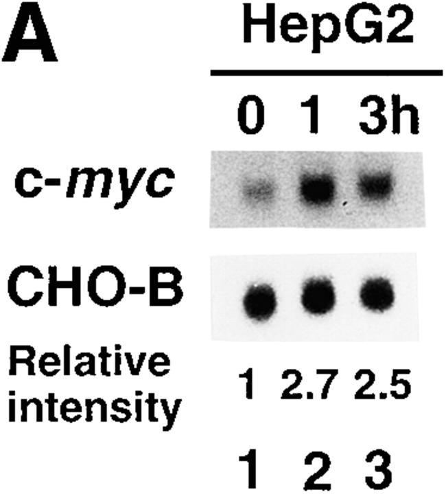 https://cdn.ncbi.nlm.nih.gov/pmc/blobs/62c5/1887683/9910257598e7/JEM981465.f4a.jpg